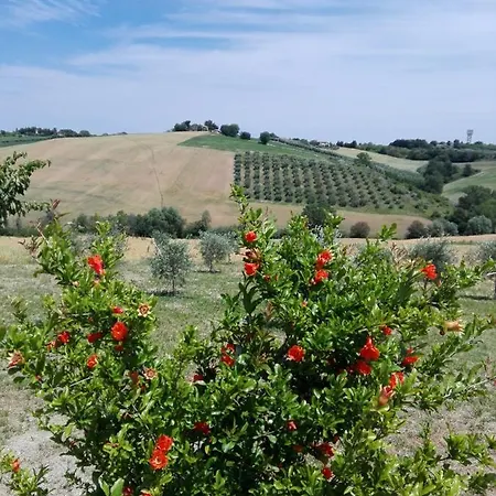 Il Giardino Nella Valle Belvedere Ostrense Exterior foto