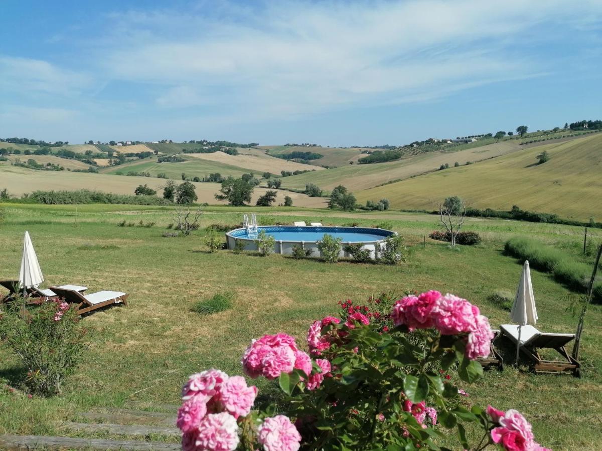Il Giardino Nella Valle Belvedere Ostrense