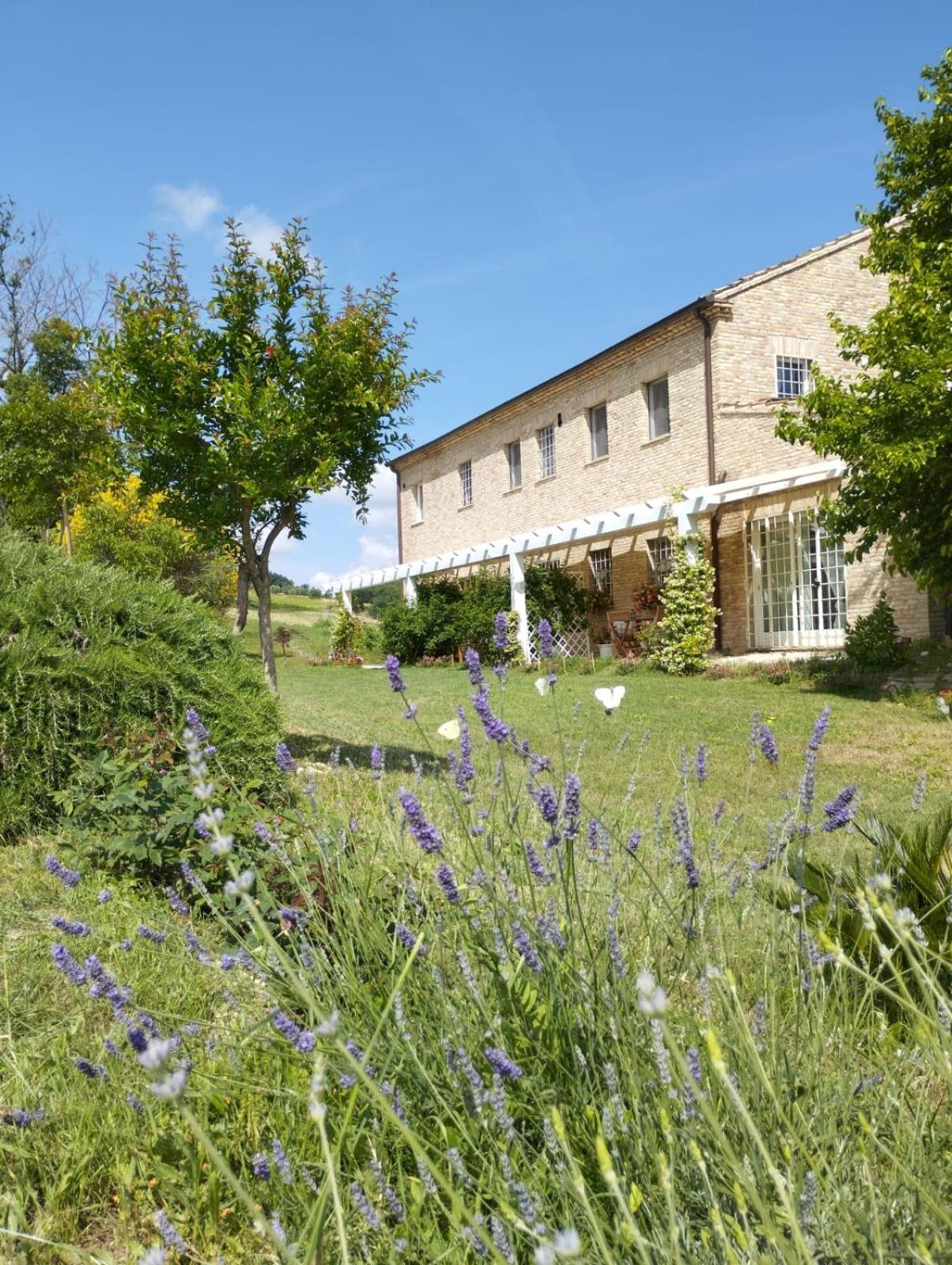 Il Giardino Nella Valle Belvedere Ostrense