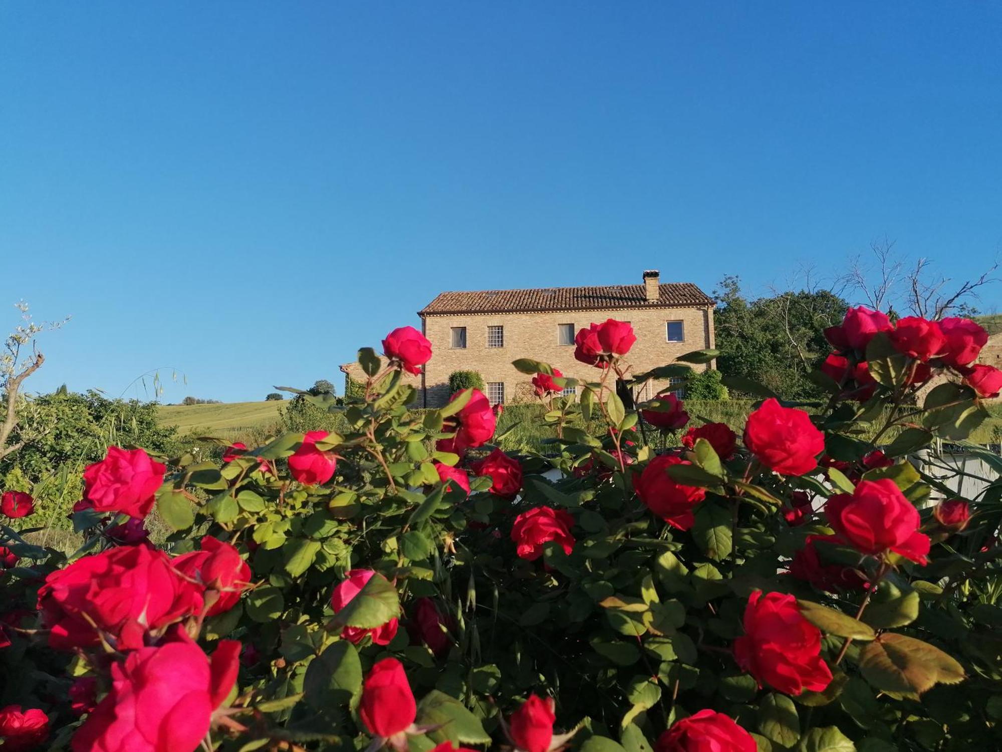 Il Giardino Nella Valle Apartment *