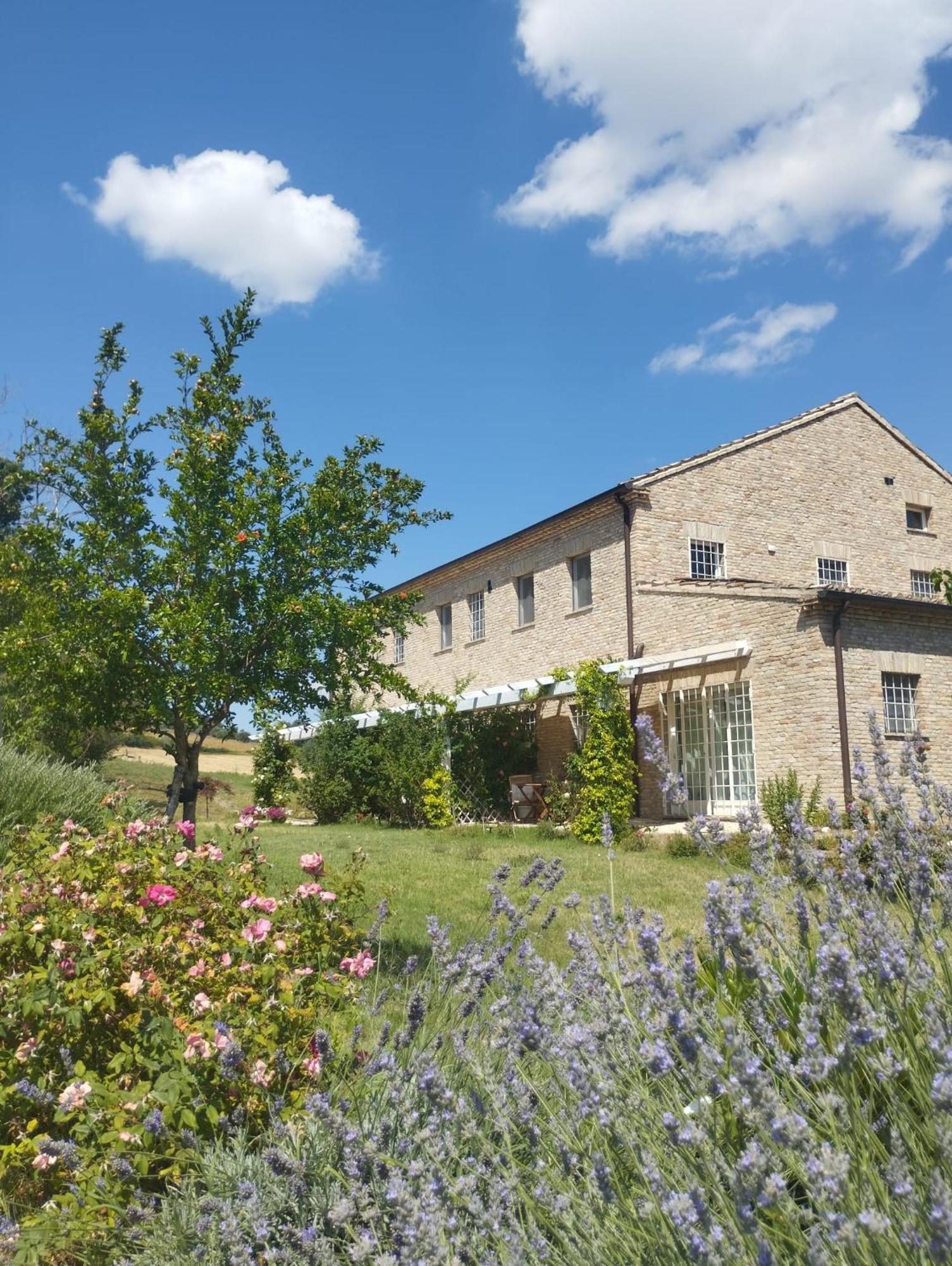 Il Giardino Nella Valle * Belvedere Ostrense